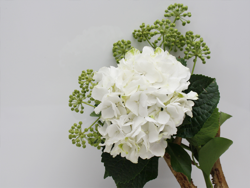 no. 7139 -Button mit Gästenamen als Tischkärtchen und / oder Gastgeschenk Nadelbutton Magnetbutton mit Kontermagnet Flaschenöffner Taschenspiegel Spangenclip Namensschild Namensanstecker Anstecker Butterfly Verschluss Spangen-Clip Kroko Clip Tischordnung Platzkarte passend zur Hochzeitskarte Karte Papeterie Hochzeitspapeterie weiss weiß grau edel anthrazit white grey Schrift modern