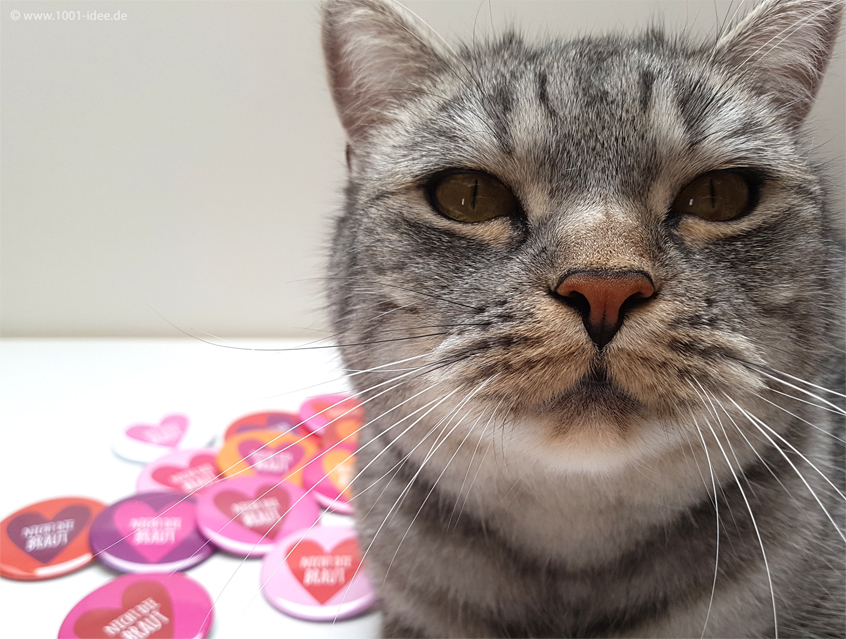 Design "Herzchen", super schöne Buttons in rosa, pink, orange, rot und lila Töenn rosa und pink Tönen, für den Junggesellinnenabschied, auch genannt JGA oder Hen's Night, für 11 Freundinnen (nicht die Braut) und 1 Braut, oder einfach mehrere Sets bestellen, Ausführung: Nadelbutton, Anstecker, Pin, Anstecknadel, Button mit Nadel, Geschenk für die Braut, Mädels auf JGA Tour, Geschenk von Trauzeugin oder bester Freundin, Butterflies in sanften Tönen